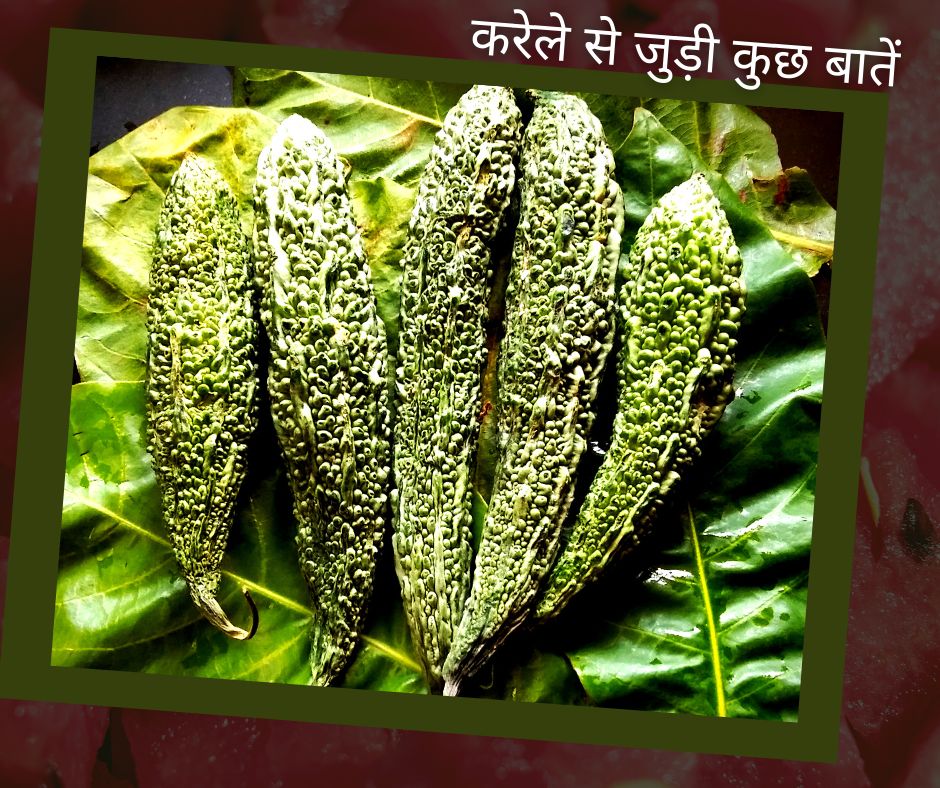करेले से जुड़ी हुई कुछ ख़ास बातें