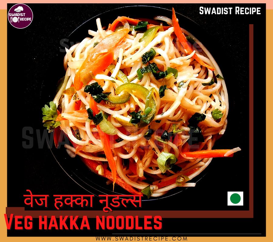 वेज हक्का नूडल रेसिपी | Veg hakka noodle Recipe in Hindi 5 Veg Hakka noodle final Step